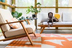 Effective Strategies for Keeping Your Furniture Free from Pet Hair